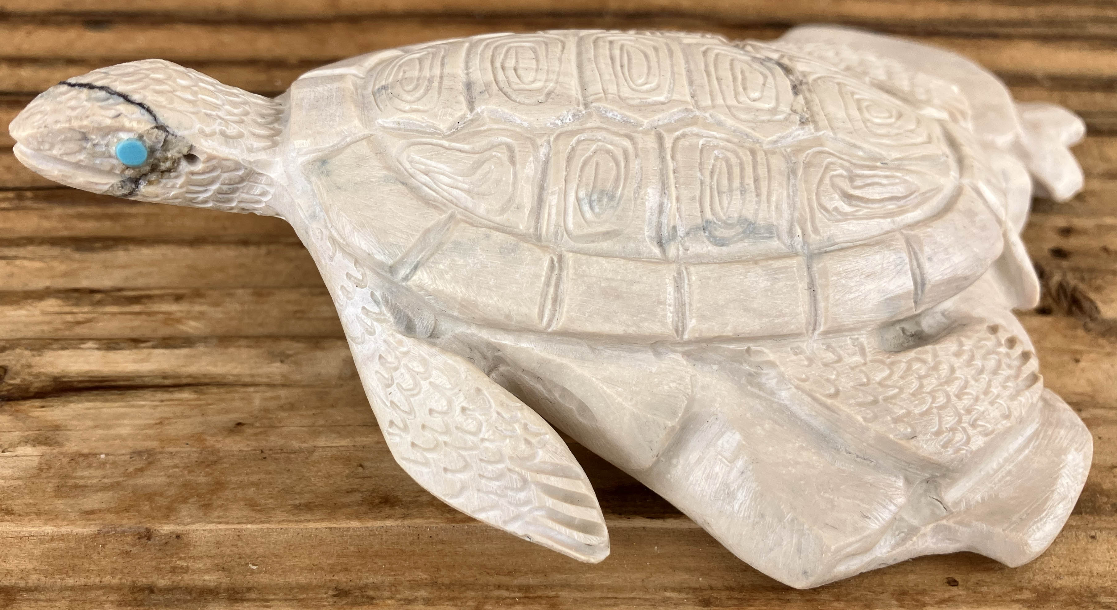 Michael Coble | Zuni Sea Turtle Fetish | Penfield Gallery of Indian Arts | Albuquerque, New Mexico